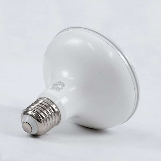 GloboStar LED Bulb 15W 95mm for Socket E27 and Shape PAR30 Cool White 1500lm