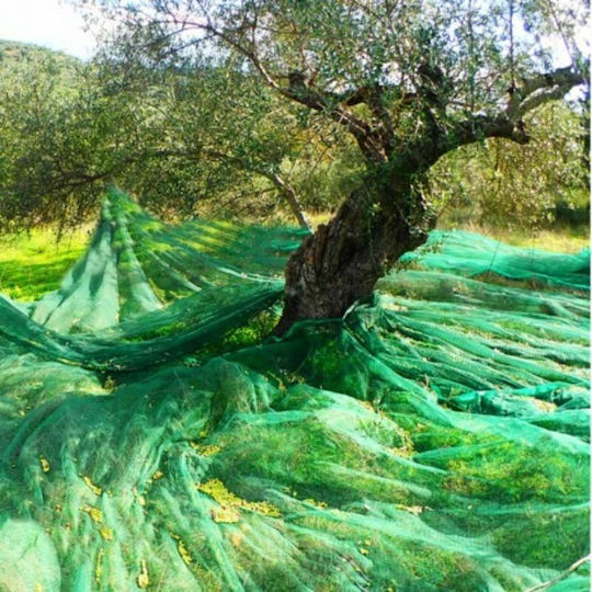 Olive Harvesting Net 90gr/m² 7x14m