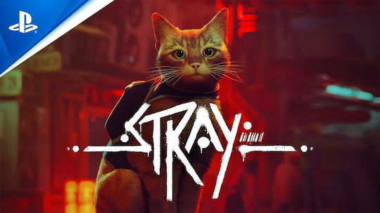 Stray PS4 Spiel