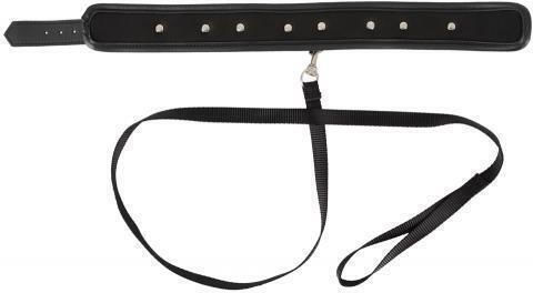 Vegan Fetish Vegan Fetish 100% Vegan Collar With leash Guler în Culoare Negru