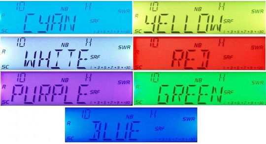CRT SS 9900 Auto CB 60W mit Monochromdisplay