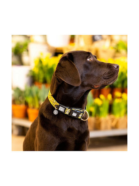 Max & Molly Monkey Dog Collar in Yellow color Large 25mm x 39 - 62cm