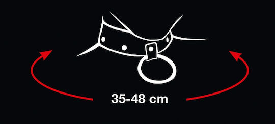 You2Toys Bad Kitty Leash With Collar Κολάρο σε Μαύρο Χρώμα