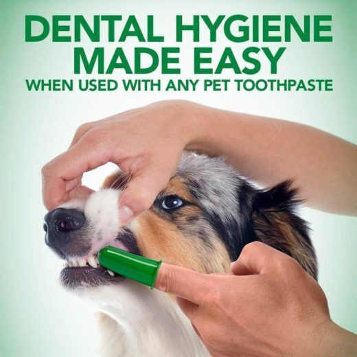 Vet's Best Green Silicon Finger Brush Zahnpflege Ring Hund 5Stück