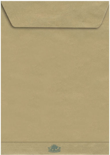 Typotrust Set de plicuri Tip Sac B5 cu Autocolant 10buc 18.6x5cm
