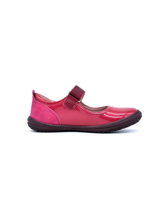 Aster S13901-30-21 Fuchsia