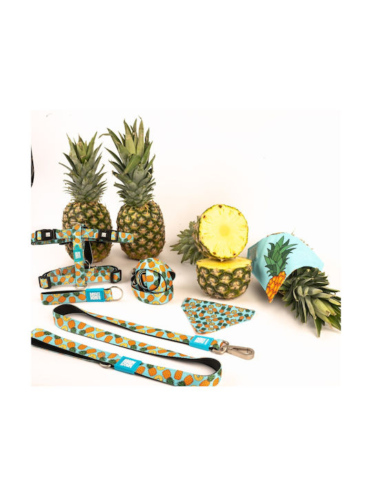 Max & Molly Sweet Pineapple Ошийник за куче Medium