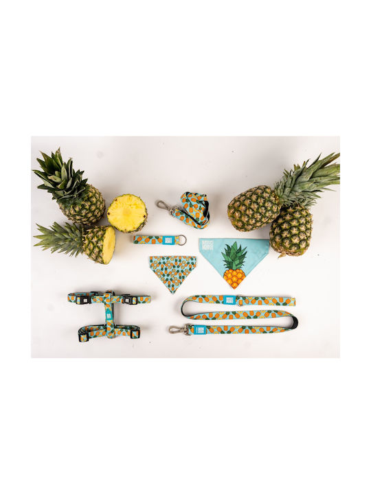 Max & Molly Sweet Pineapple Κολάρο Σκύλου XSmall 10mm x 22 - 35cm