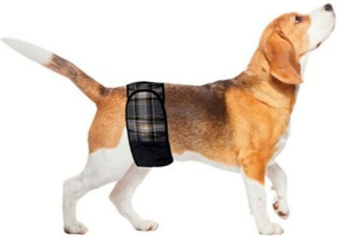 Croci Male Hygien Band Dog Panties XXLarge 64 - 74cm 1pcs