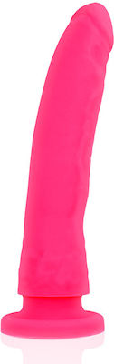 Delta Club Toys Harness & Silicone Dong with Dildo 20cm Pink