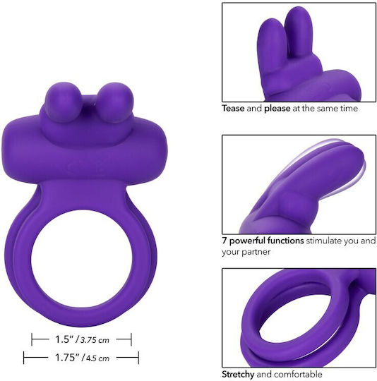 Calexotics Dual Rockin' Rabbit Purple