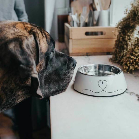 Hunter Valencia Stainless Steel Bowl Food & Water for Dog & Cat 350ml in White Color