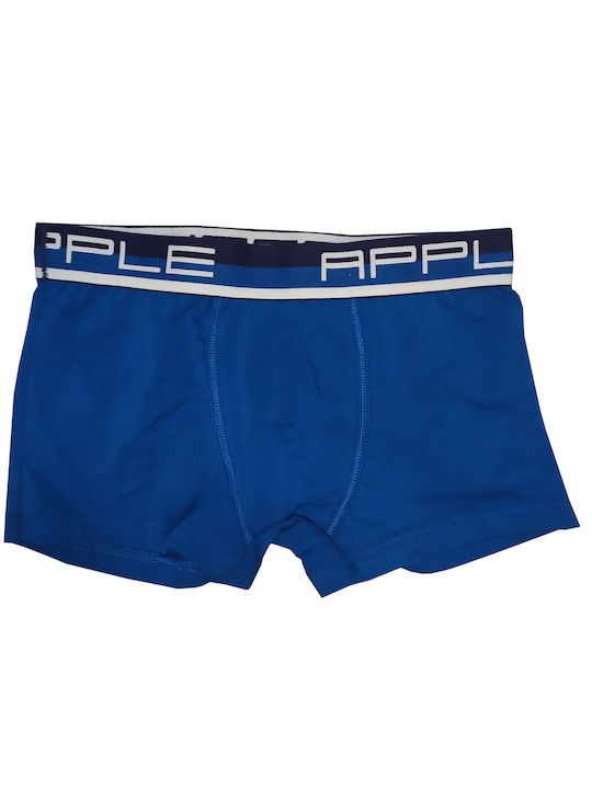 0112951 Herren Boxershorts Black/Atlantic 2Packung
