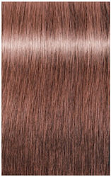 Schwarzkopf Igora Royal Dusted Rouge Βαφή Μαλλι...