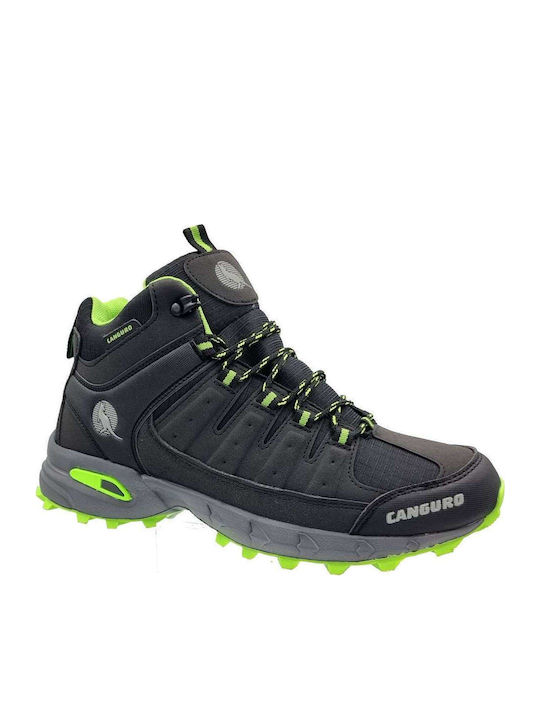 Canguro 459 Canguro 459