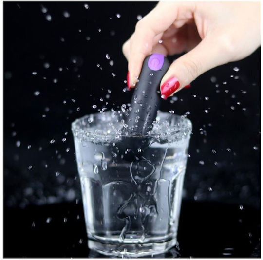 Lovetoy Ingen Bitch Vibrating Panties Mini Vibrator Bullet with Remote Control M Black