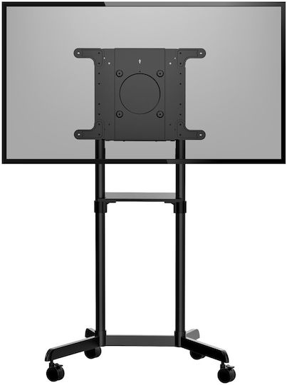 StarTech MBLTVSTNDEC Βάση Τηλεόρασης Δαπέδου έως 70" και 70kg