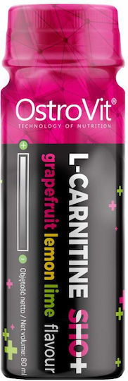OstroVit L-Carnitine Shot 2500mg mit Geschmack Grapefruit Zitrone Limette 80ml