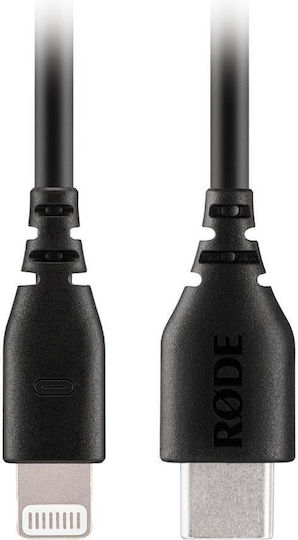 Rode SC-21 Regular la Cablu Lightning Negru 0.3m (400830098)