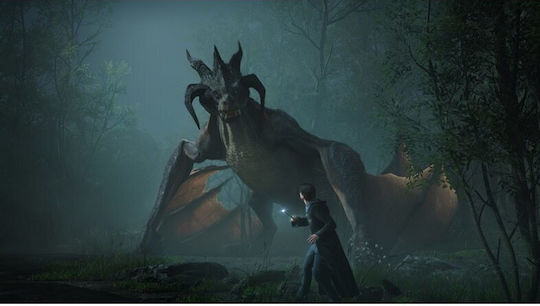 Hogwarts Legacy PS5-Spiel