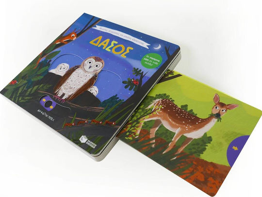 Големи експедиции за малки изследователи, Forest