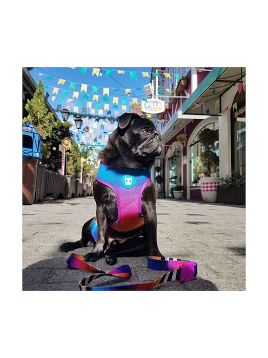 Zee-Dog Dog Harness Vest Adjustable Air Mesh Prisma Purple Large 395690