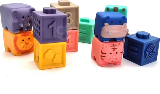 Cubes for 6+ Months 12pcs