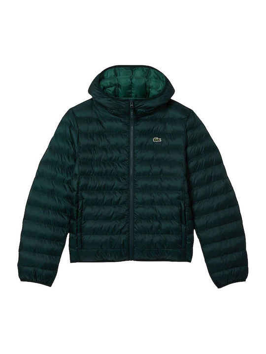 Winter Jacket Puffer Green