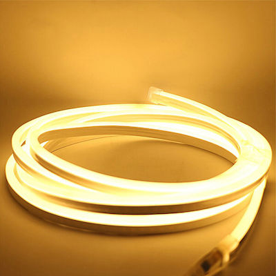 Neon Flex Christmas Light Tube Warm White 220V 600 Light Bulbs Programmable 5m IP65 Universo