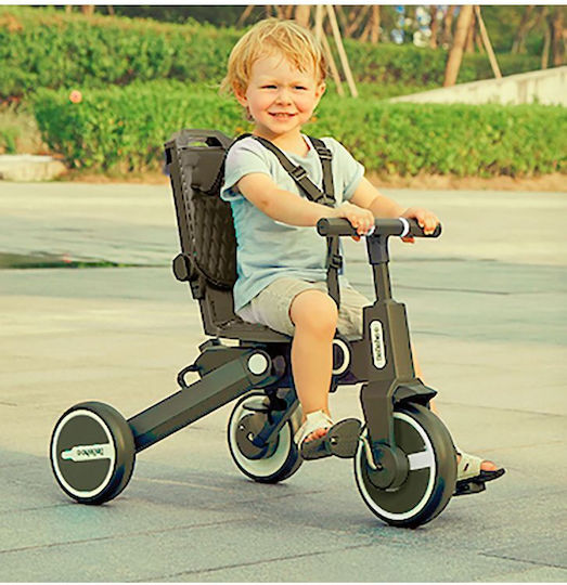 Asalvo Discovery Foldable and Convertible for 10 Months Black