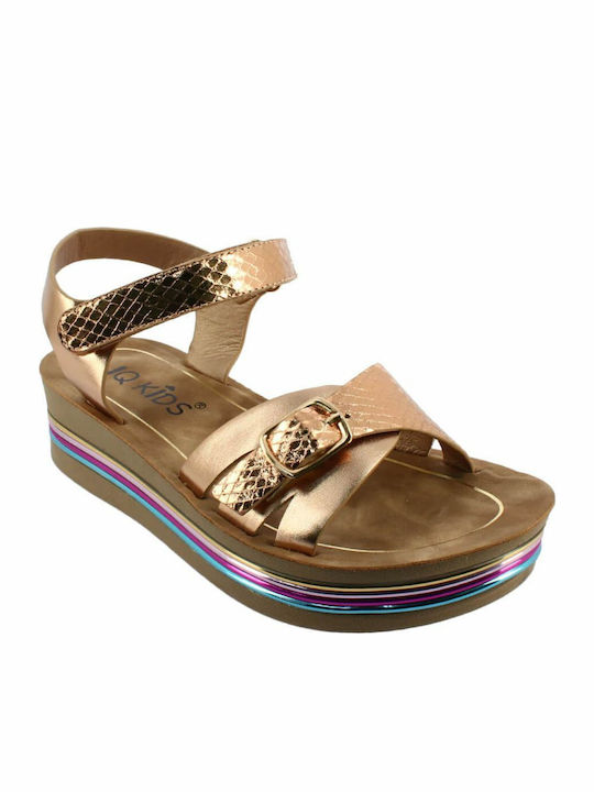IQ Shoes