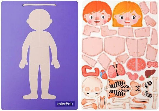 Mieredu Ανατομία STEM Образователна Игра Образователни за 3+ години Години
