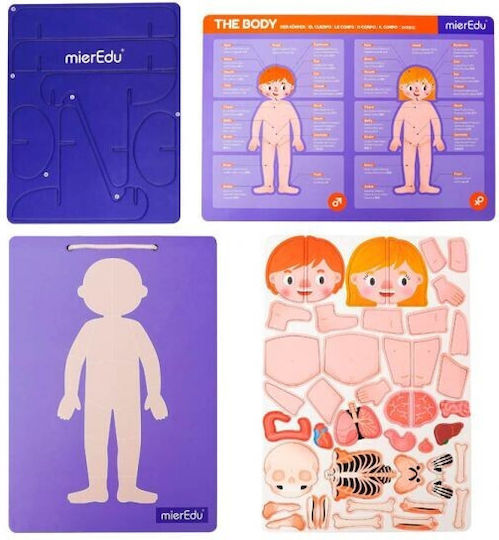 Mieredu Ανατομία STEM Образователна Игра Образователни за 3+ години Години