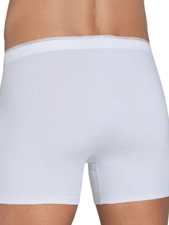 Sloggi Upgrade Men's Boxer White