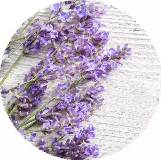 Baby Brezza Sweetest Dream Aromatic Oil Lavender