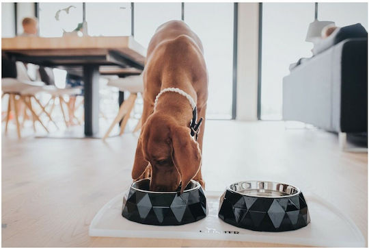 Hunter Kimberley Stainless Steel Bowl Food & Water for Dog & Cat 160ml in Black Color