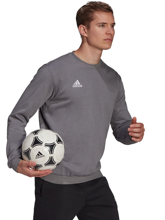 adidas Entrada 22 Gray