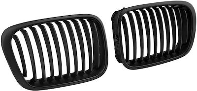 Dekorative Auto Maske BMW E46 / Serie 3 (E46) / Serie 3