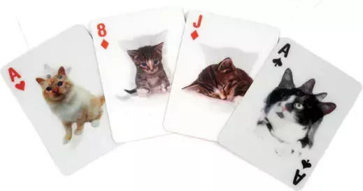 Kikkerland Cats 3D Playing Cards Plastic