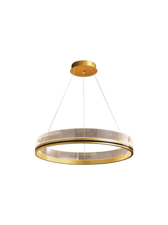 Eurolamp Pendant Light LED Suspension with Warm White Light Gold