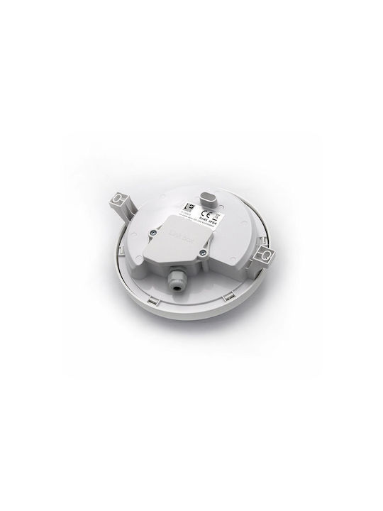 Adeleq Επιτοίχια Χελώνα Εξωτερική LED IP64 6W με Φυσικό Λευκό Φως