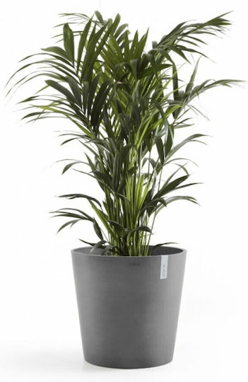 Ecopots Amsterdam 50
