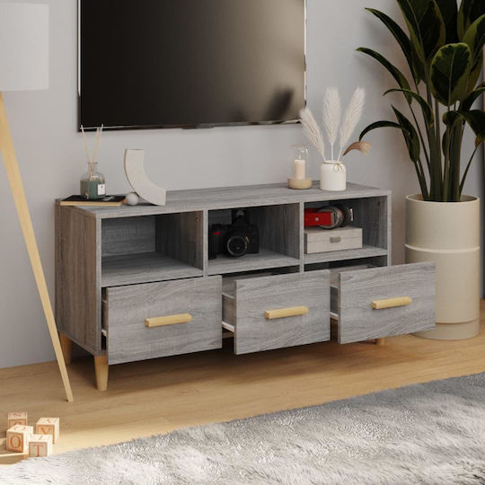 Stand TV Gri Sonoma L102xA36xÎ50cm