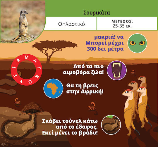 Desyllas Educational Game Knowledge for 8+ years old Years Old Whiz Kids: Animals & Plants