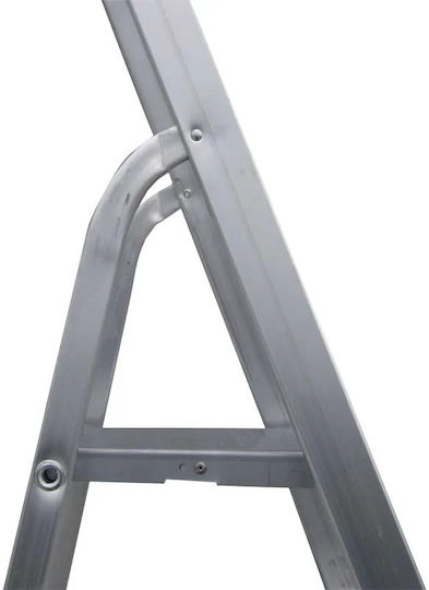 Profal Ladder Aluminum with 5+1 Steps 198cm