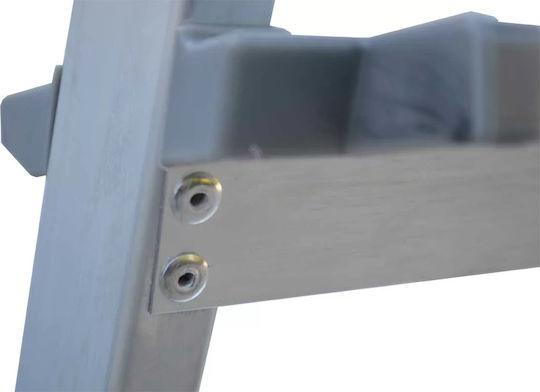 Profal Ladder Aluminum with 3+1 Steps 150cm