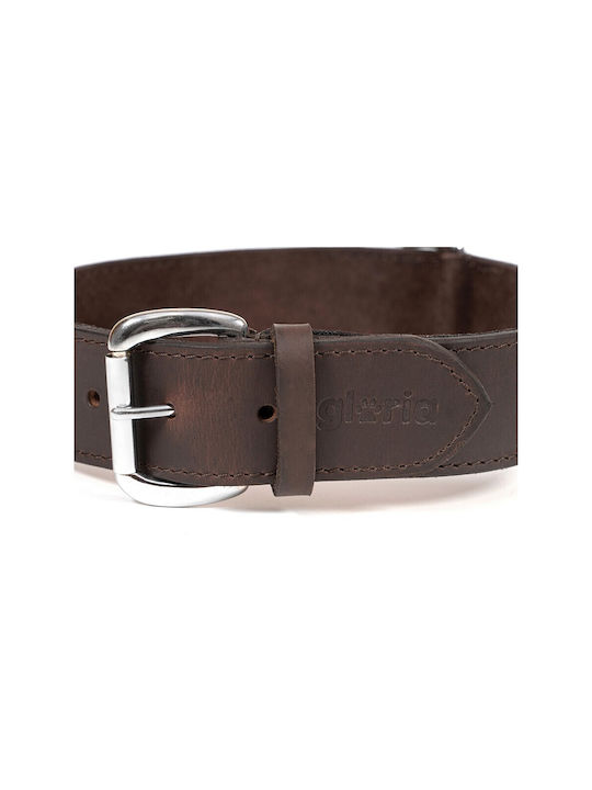 Gloriapets Guler pentru câini în culoarea Maro 40mm x 65cm