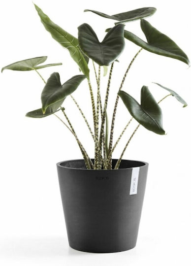 Ecopots Amsterdam Dark Grey Pot Plastic 40x40x35cm.