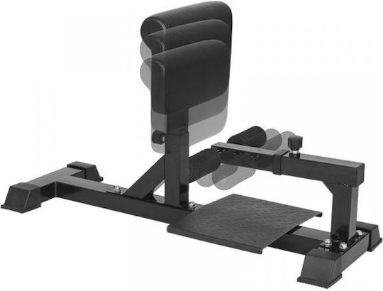 Gorilla Sports Bancă Reglabilă Pentru Squat Bănci De Antrenament Crunch Extensie Spate