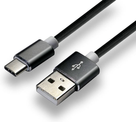 everActive CBS-1CB Geflochten USB 2.0 Kabel USB-C männlich - USB-A Schwarz 1m